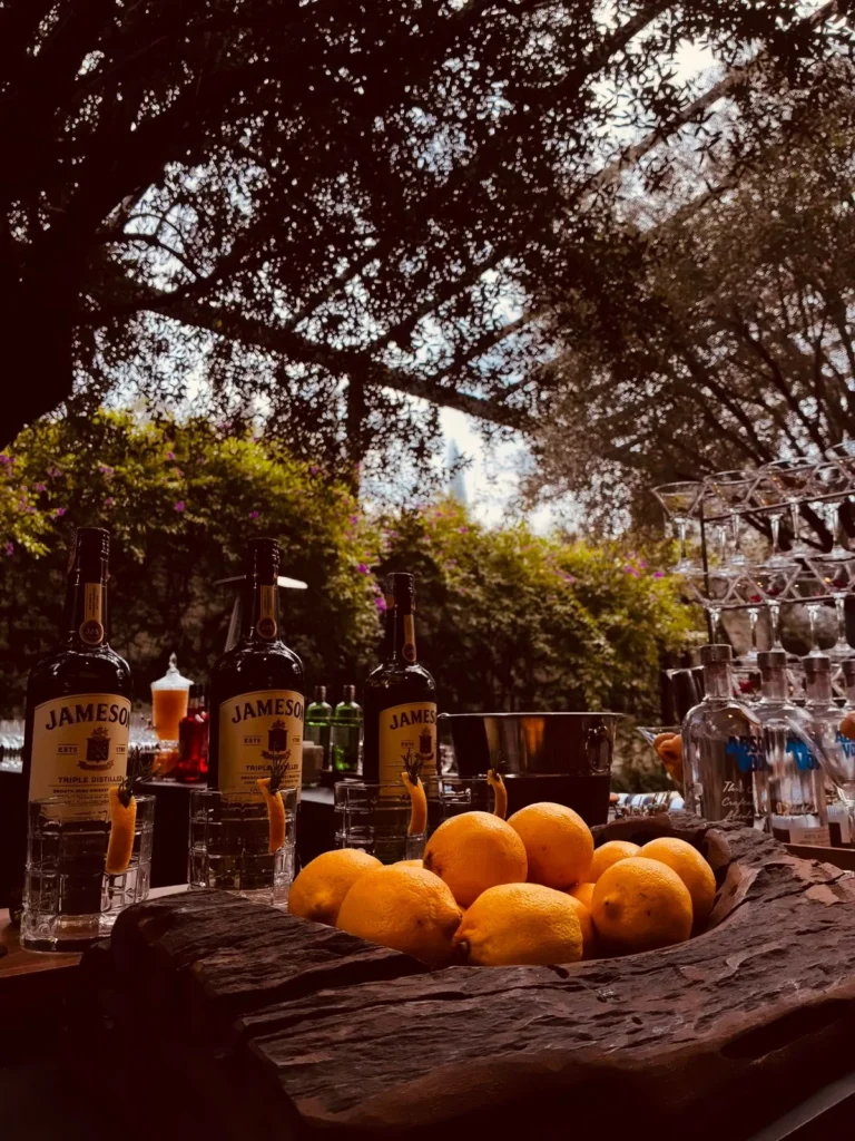 Bar com limões e garrafas sob árvores